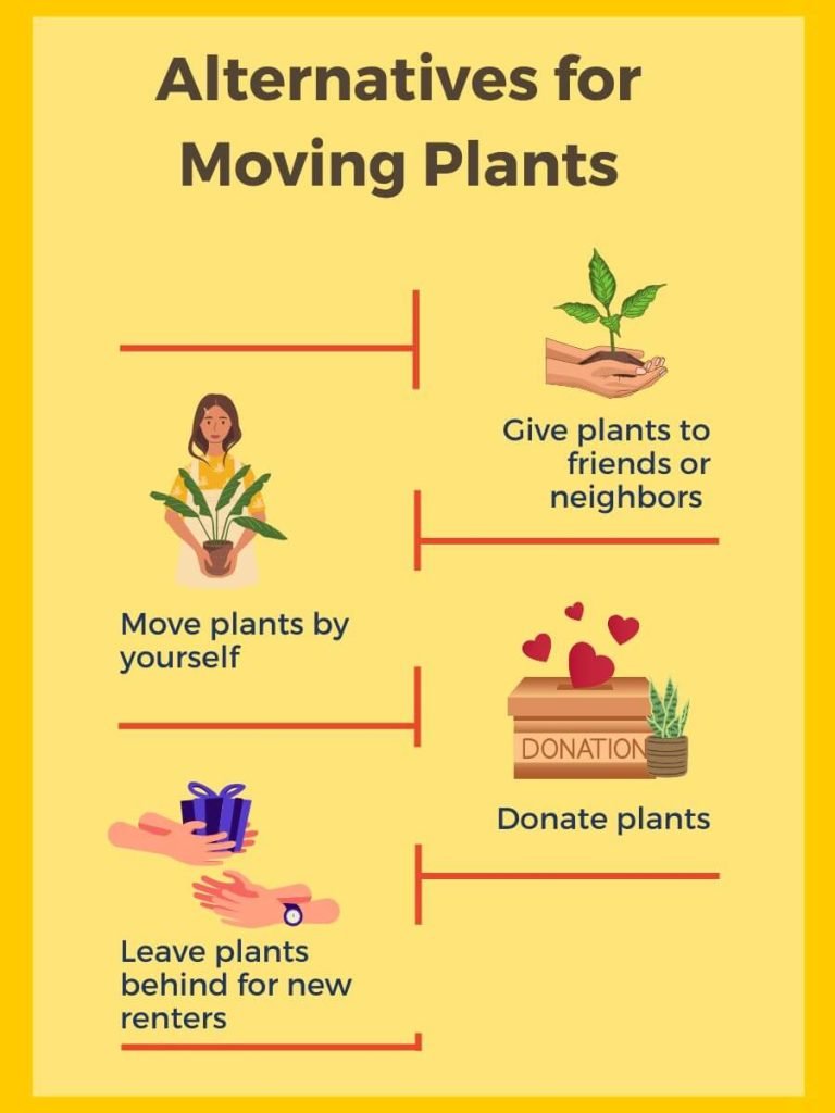 some alternatives are portrayed if you cannot take plants along with you