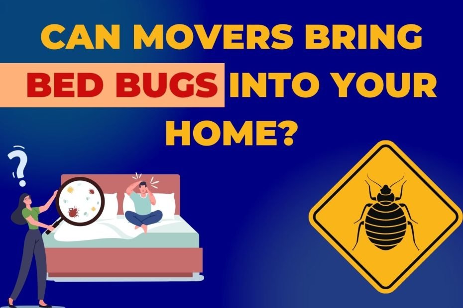 An alarming bedbug sign with a bed illustration