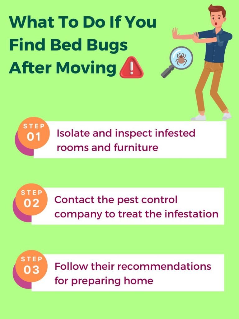 steps to follow if there is still bedbug after moving