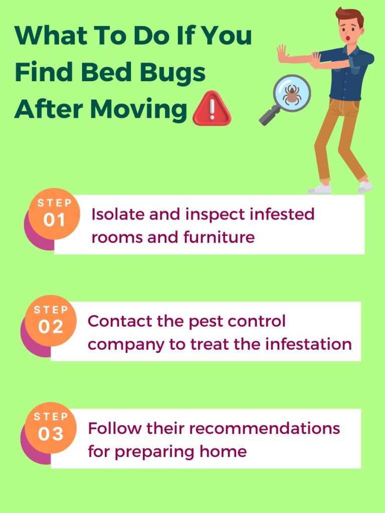 steps to follow if there is still bedbug after moving