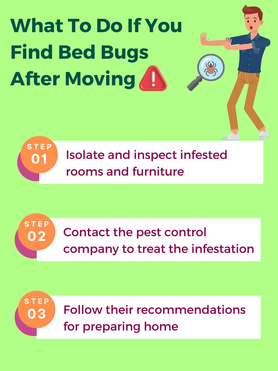 Can Movers Bring Bed Bugs Into Your Home Movers Labs can-movers-bring-bed-bugs-into-your-home-movers-labs