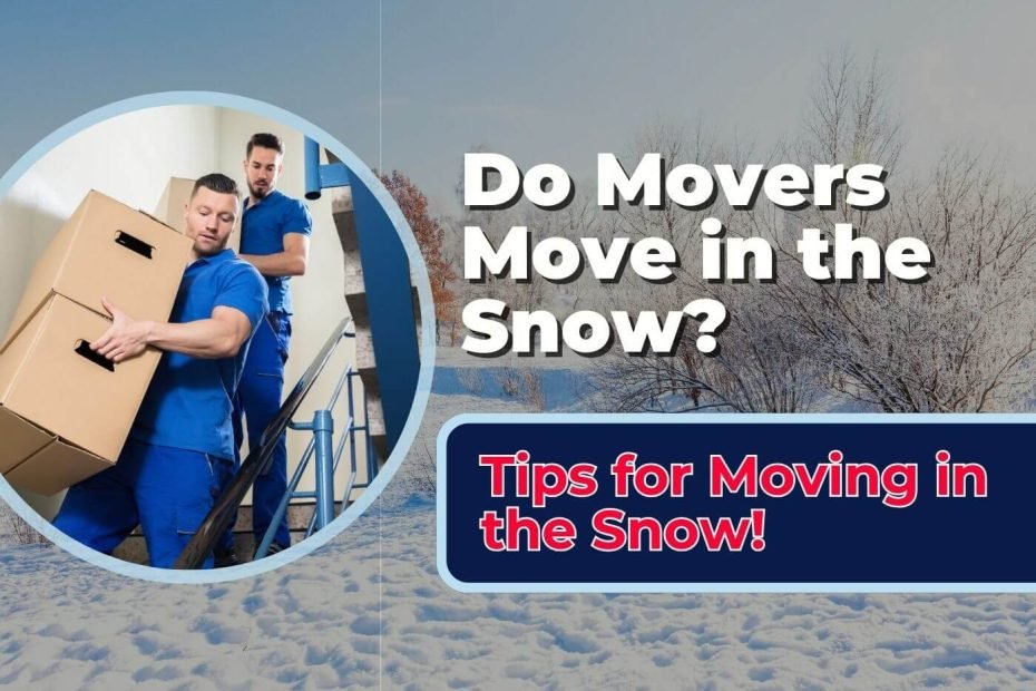 some professional movers carrying boxes on a winter-y and snowy background
