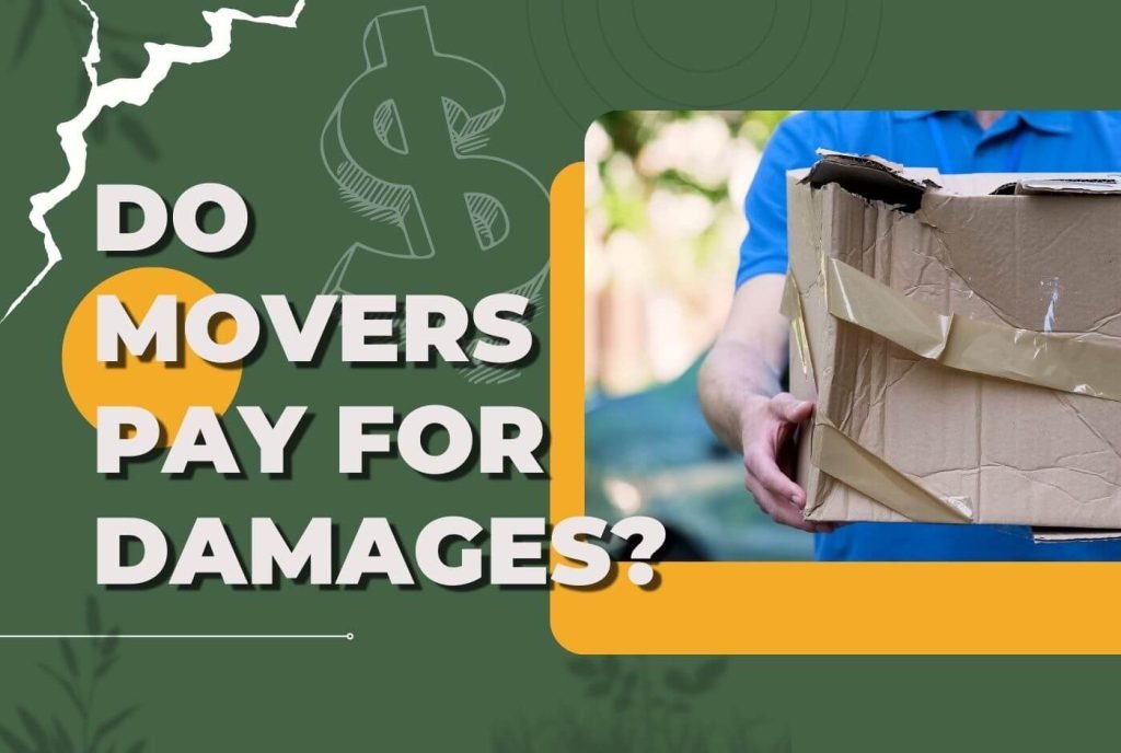 A mover holding a damaged box