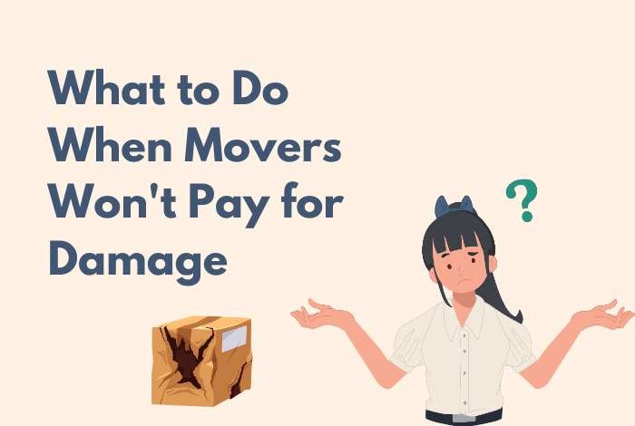 What to Do When moving company damaged property